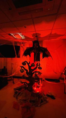 d45750bc-a47a-4bb4-9606-0a594c10bff2.jpeg